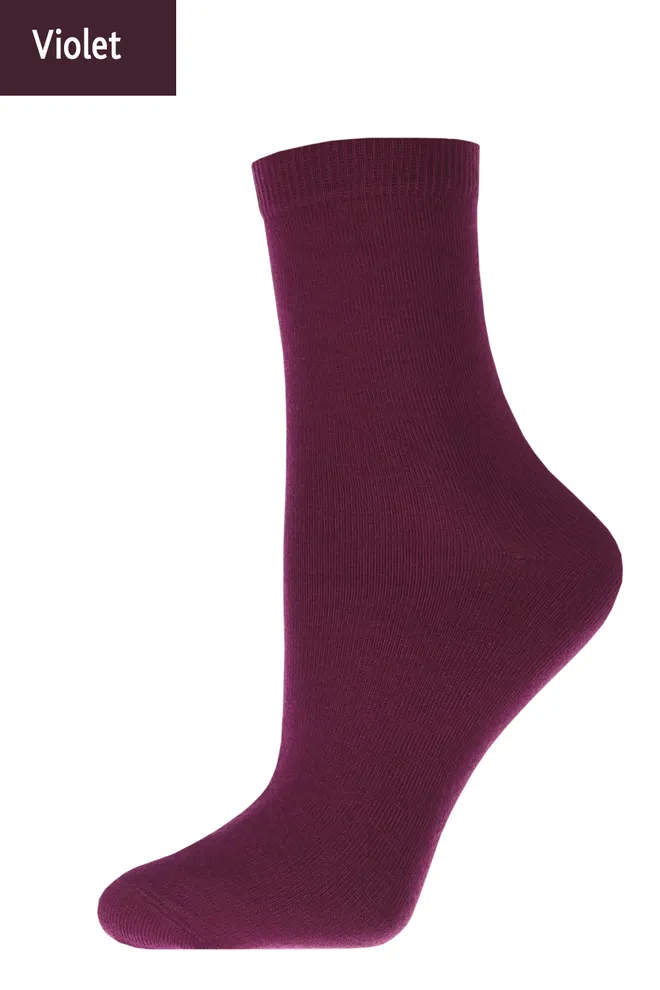 Шкарпетки жіночі класичні WSL color Giulia (violet)