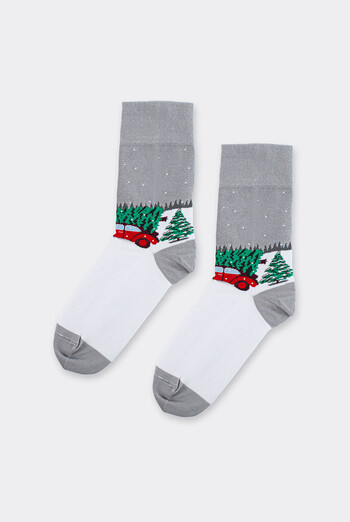 Чоловічі шкарпетки новорічні MS3 NEW YEAR 2602 Giulia (silver), сірий