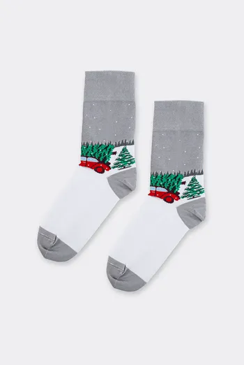 Чоловічі шкарпетки новорічні MS3 NEW YEAR 2602 Giulia (silver), сірий