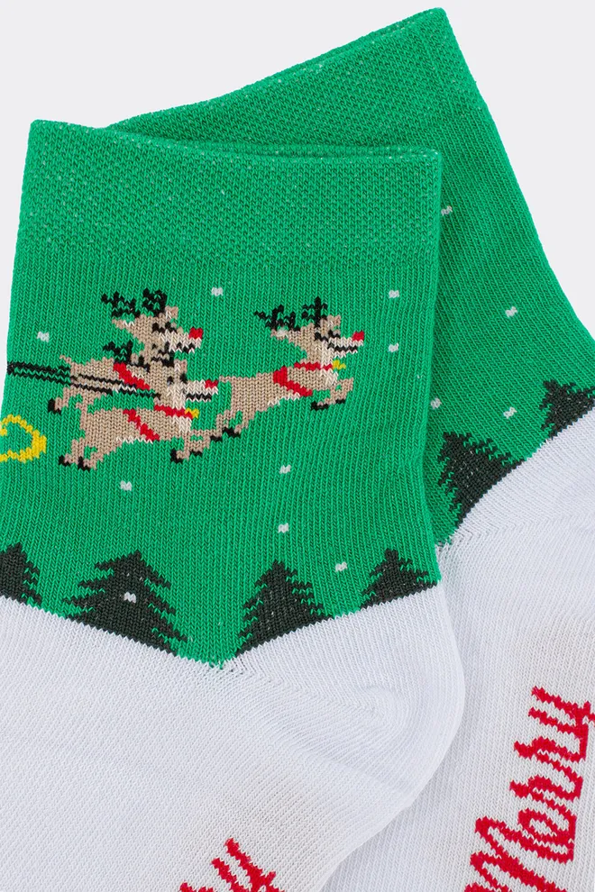 Дитячі новорічні шкарпетки KS3 NEW YEAR 2606 Giulia (green), зелений