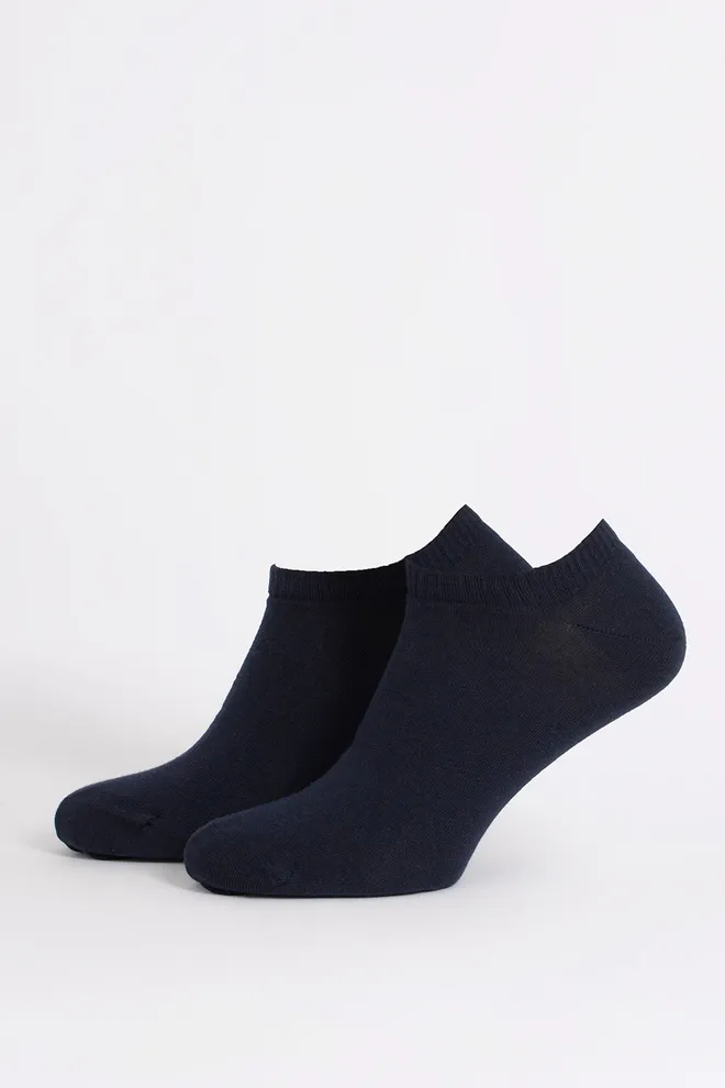 Шкарпетки чоловічі MS1 SOFT PREMIUM CLASSIC Giulia (sky-captain), синій