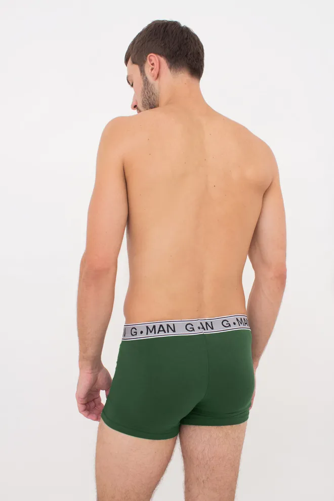 Чоловічі труси боксери G-MAN 20401/60 Giulia (pine green), зелений